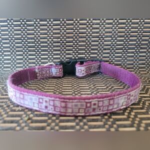 Collar small dog or large puppy and matching leash.